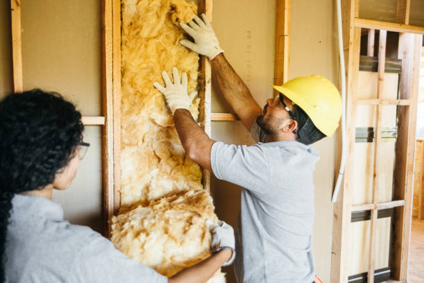 Best Blown-In Insulation  in West Sayville, NY